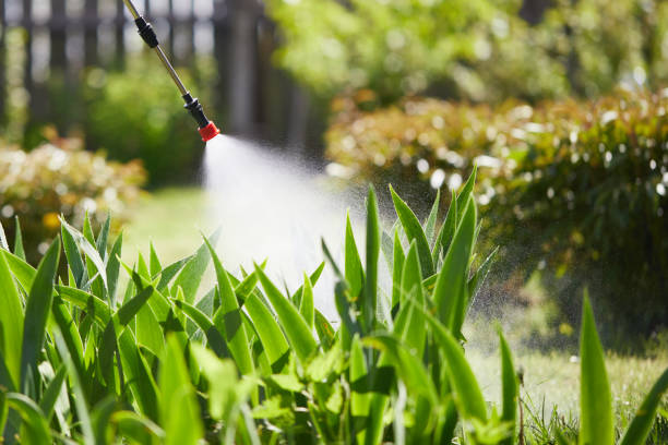Tamper-Resistant Bait Stations for Rodents in Goshen