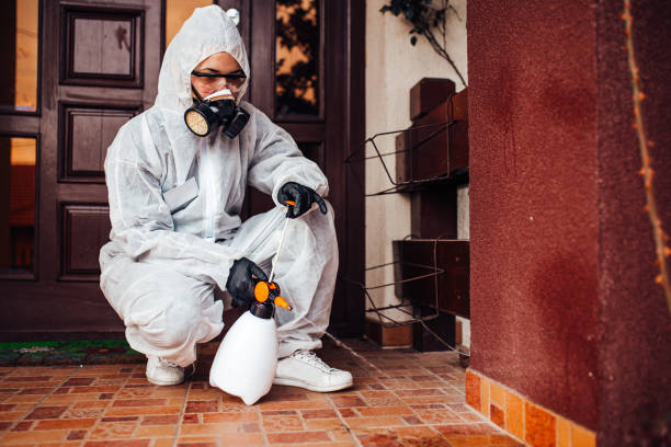 Attic and Crawl Space Rodent Treatment in Goshen
