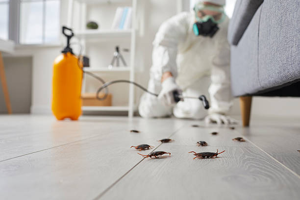 Commercial Rodent Management in Goshen